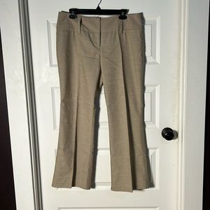 Maurices dress pants 9/10 short